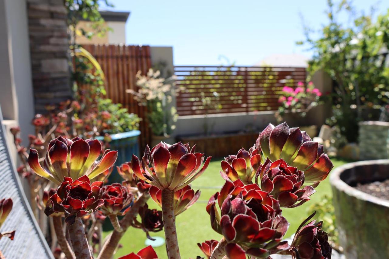 Comfortable Luxury Home Perth Esterno foto